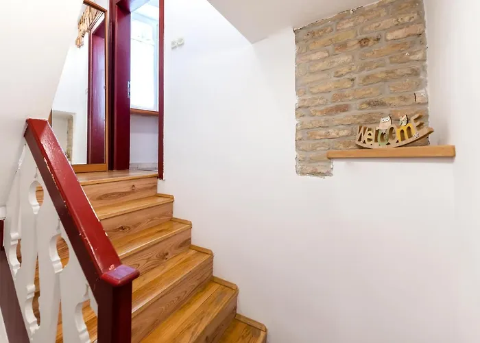 Ap Downtown * Ρόβινι